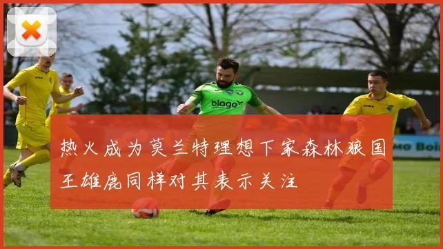 热火成为莫兰特理想下家森林狼国王雄鹿同样对其表示关注