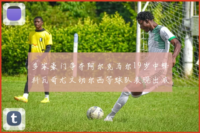 多家豪门争夺阿尔克马尔19岁中锋科瓦奇尤文切尔西等球队表现出浓厚兴趣